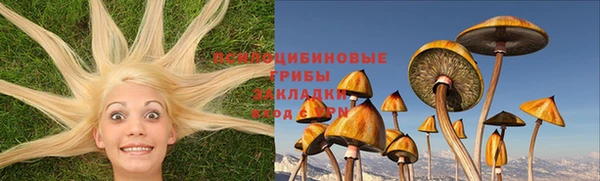 крисы Белокуриха