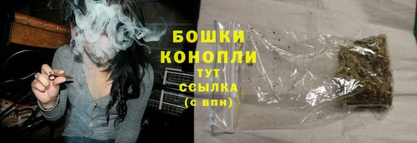 крисы Белокуриха