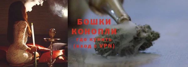 гашик Белоозёрский