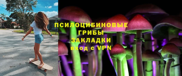 крисы Белокуриха